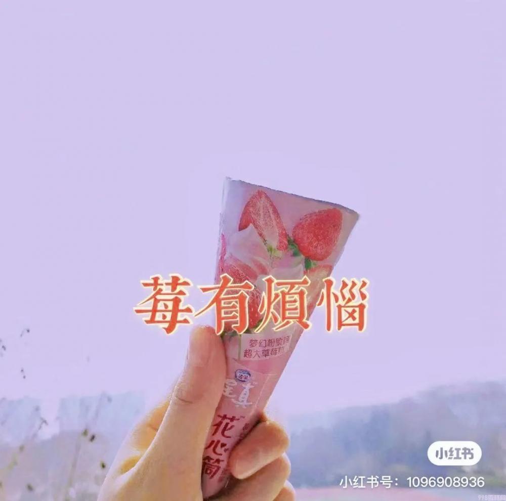 一个“新消费”冰淇淋的自我修养,冰淇淋和冰激凌区别?(图24) 一个“新消费”冰淇淋的自我修养,冰淇淋和冰激凌区别?(24)