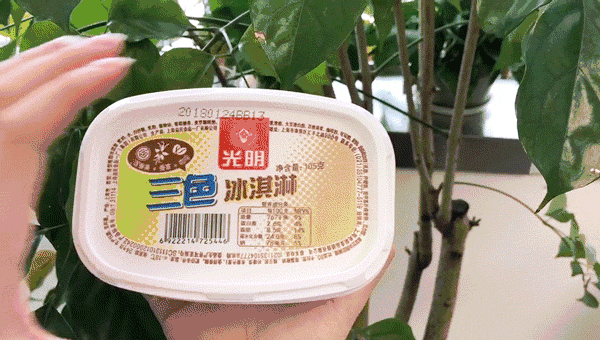 深圳人几乎都吃过!用5毛唤起你的童年回忆(图10) 深圳人几乎都吃过!用5毛唤起你的童年回忆(10)