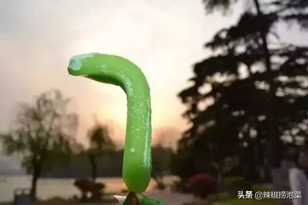 深圳人几乎都吃过!用5毛唤起你的童年回忆(图14) 深圳人几乎都吃过!用5毛唤起你的童年回忆(14)