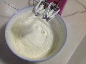 自制哈根达斯冰淇淋的做法(10步简单教你制作)(4) 自制哈根达斯冰淇淋的做法(10步简单教你制作)(4)