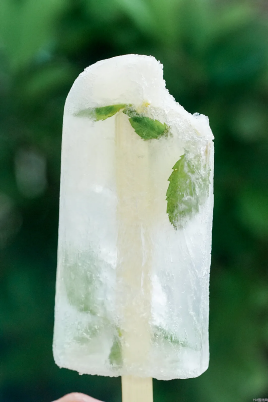 自制棒冰怎么做(简单且颜值高的棒冰教程)(12) 自制棒冰怎么做(简单且颜值高的棒冰教程)(12)