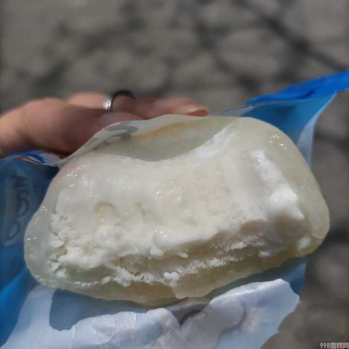 最新夏季雪糕全线测评(童年回忆系列VS网红系列避坑指南)(25) 最新夏季雪糕全线测评(童年回忆系列VS网红系列避坑指南)(25)
