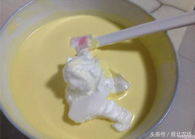 五星级酒店的冰淇淋秘方,口感细腻绝无冰碴,味道堪比哈根达斯!(图9) 五星级酒店的冰淇淋秘方,口感细腻绝无冰碴,味道堪比哈根达斯!(9)