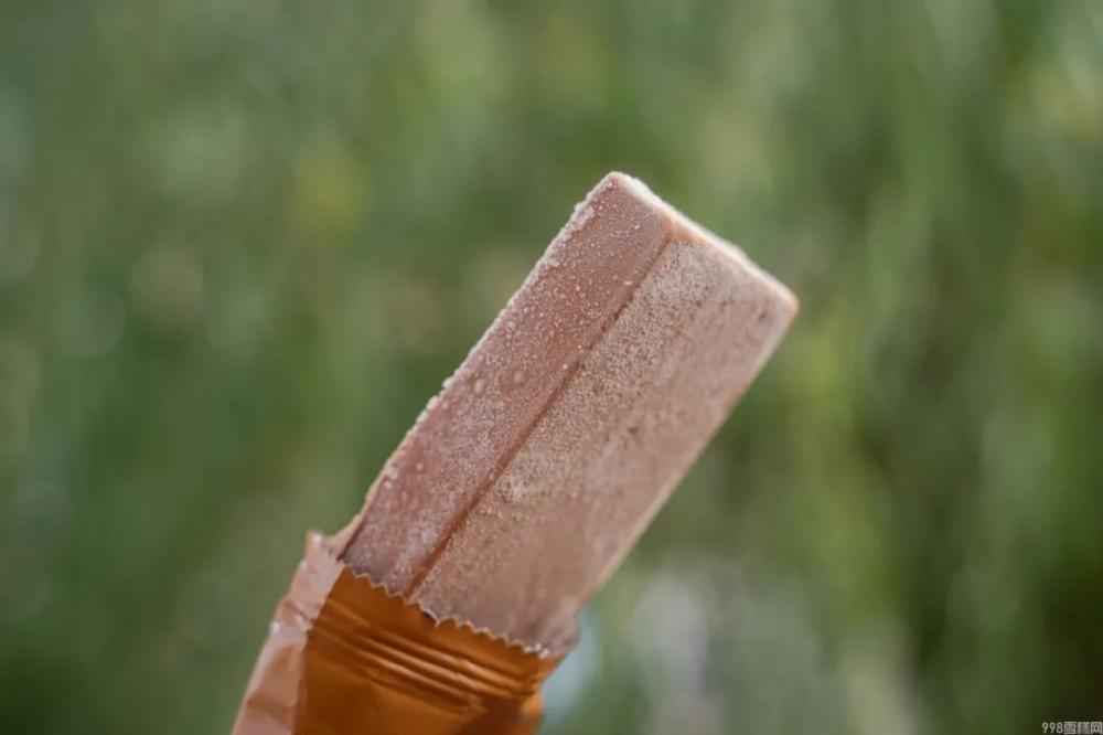 东北有名的雪糕叫什么,能让南方人自动认输的(图10) 东北有名的雪糕叫什么,能让南方人自动认输的(10)