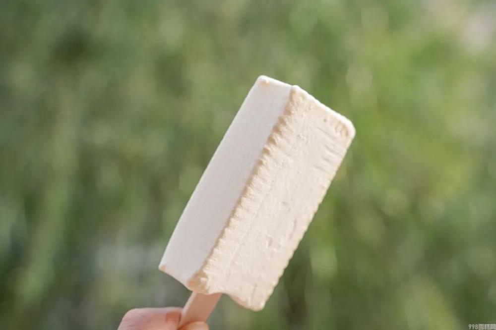 东北有名的雪糕叫什么,能让南方人自动认输的(图28) 东北有名的雪糕叫什么,能让南方人自动认输的(28)