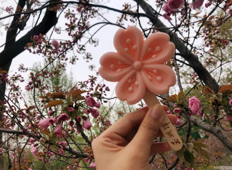 被骂惨的钟薛高,为何还被年轻人抢购一空?(图14) 被骂惨的钟薛高,为何还被年轻人抢购一空?(14)